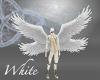 White Angel Wings