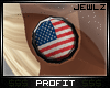 $$.American.Flag;Plugs