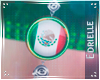 E~ Viva MEXICO Necklace