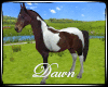 Animated Pinto Horse