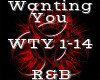 Wanting You -R&B-