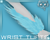 TuftsW Blue 2a Ⓚ