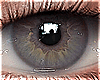 Eyes | Hazel Gray