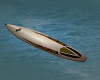 Animated BIC surfboard