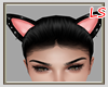 ! Kitty Ears