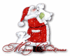 Santa Claus and bear cub