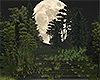 Full Moon Forest  Room
