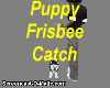 Frisbee Catch ~Husky Pup