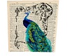Vintage peacock wall art