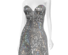 *Silver Party Dress*