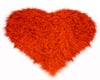 FA: Heart Rug Orange