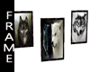 WOLVES FRAMES