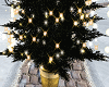 FG~ CHRISTMAS TREE