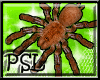 PSL Spiders Enhancer