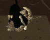Cats Animateds