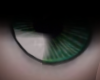 Eye Green \ White 2T