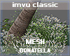 :D:Drv. DecoTreeX11
