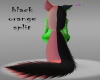 Blackandorangeplittail