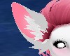 [V] Greynie pink ears 3
