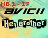 Avicii Hey Brother 1-17