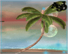 A3D* Palm Beach 2