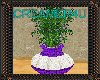 C4U~Purple~Basket~Plant