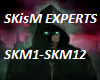 SKisM EXPERTS