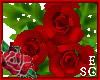 `Gift Roses Burgundy