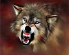 2 Sided Wolf Picture