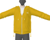 yellow alo 1/2