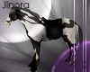 *rq Paint Horse