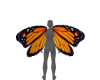 Butterfly Wings Male