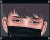 !! Taeyang Cattaleya