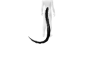 Dark tail