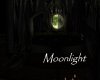 AV Moonlight