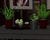 eDe Vampire Plants