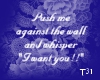 T31~ Push me (w)