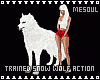 Trained Snow Wolf Action