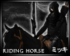 ! Black Riding Horse