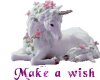Make a wish Unicorn
