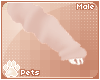 [Pets] Tori | claws