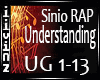 Understanding -Sinio RAP