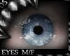 ![DS] iRiS 75 |Eyes M/F