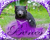Bones TazRug