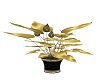 Luxus Gold&Blk Plant2