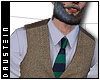 d| Tweed Vest/ Stp Tie