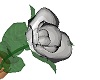 Silver glass rose