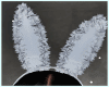 >L  Bunny Blue
