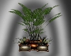 (S) Potted Plants