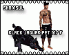 Black Jaguar Pet M/F